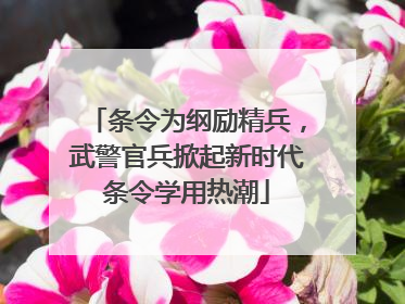 条令为纲励精兵，武警官兵掀起新时代条令学用热潮
