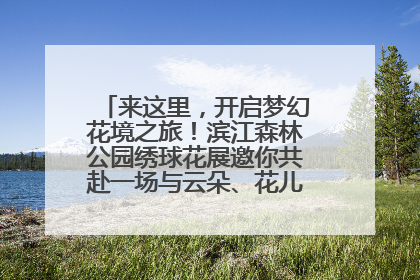 来这里，开启梦幻花境之旅！滨江森林公园绣球花展邀你共赴一场与云朵、花儿的浪漫之约