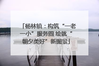 杨林镇：构筑“一老一小”服务圈 绘就“朝夕美好”新图景