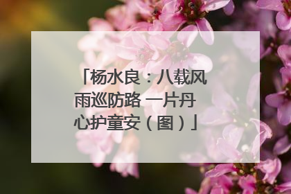 杨水良：八载风雨巡防路 一片丹心护童安（图）