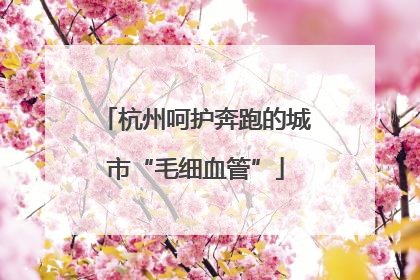 杭州呵护奔跑的城市“毛细血管”