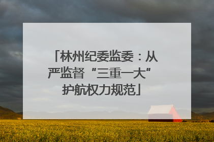 林州纪委监委：从严监督“三重一大” 护航权力规范
