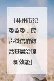 林州市纪委监委：民声微信群激活基层治理新效能