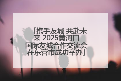 携手友城 共赴未来 2025黄河口国际友城合作交流会在东营市成功举办