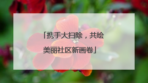 携手大扫除，共绘美丽社区新画卷