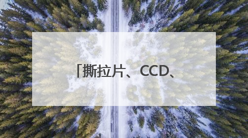 撕拉片、CCD、拍立得……年轻人正为电子怀旧买单
