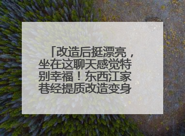 改造后挺漂亮，坐在这聊天感觉特别幸福！东西江家巷经提质改造变身居民自治幸福家