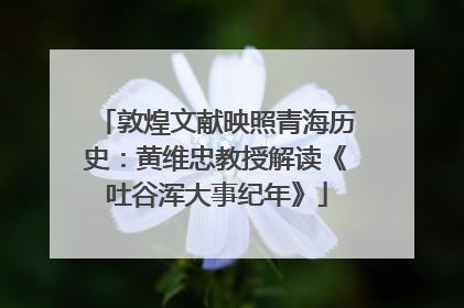 敦煌文献映照青海历史：黄维忠教授解读《吐谷浑大事纪年》