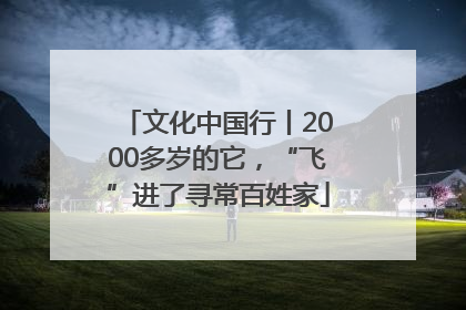 文化中国行丨2000多岁的它，“飞”进了寻常百姓家