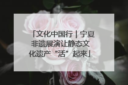 文化中国行｜宁夏 非遗展演让静态文化遗产“活”起来