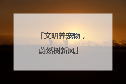 文明养宠物，蔚然树新风