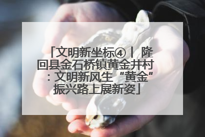 文明新坐标④丨 隆回县金石桥镇黄金井村：文明新风生“黄金” 振兴路上展新姿