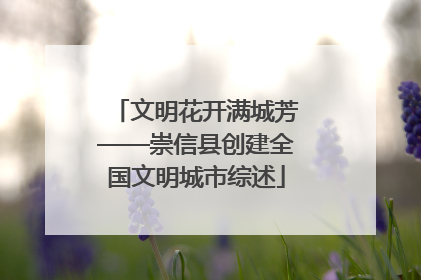 文明花开满城芳——崇信县创建全国文明城市综述