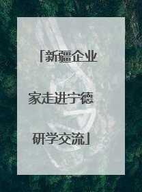 新疆企业家走进宁德研学交流