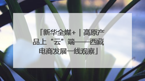 新华全媒+｜高原产品上“云”端——西藏电商发展一线观察