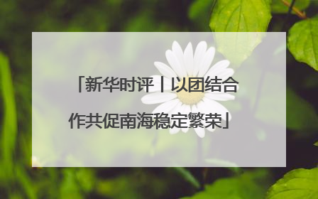 新华时评丨以团结合作共促南海稳定繁荣