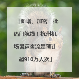 新增、加密一批热门航线！杭州机场暑运客流量预计超910万人次