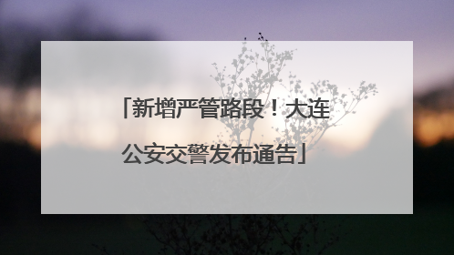 新增严管路段！大连公安交警发布通告