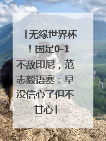 无缘世界杯！国足0-1不敌印尼，范志毅语塞：早没信心了但不甘心