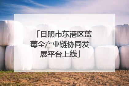 日照市东港区蓝莓全产业链协同发展平台上线