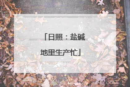 日照：盐碱地里生产忙