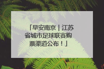 早安南京｜江苏省城市足球联赛购票渠道公布！