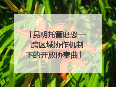 昆明托管磨憨——跨区域协作机制下的开放协奏曲