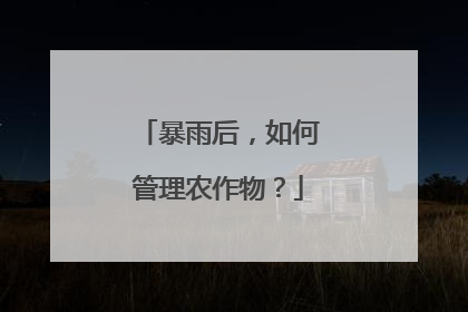 暴雨后，如何管理农作物？