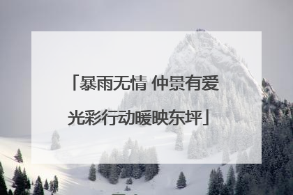 暴雨无情 仲景有爱 光彩行动暖映东坪