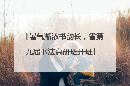 暑气渐浓书韵长，省第九届书法高研班开班