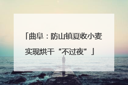 曲阜：防山镇夏收小麦实现烘干“不过夜”