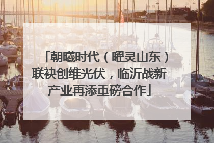 朝曦时代（曜灵山东）联袂创维光伏，临沂战新产业再添重磅合作