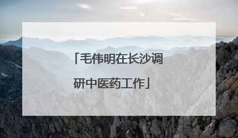 毛伟明在长沙调研中医药工作