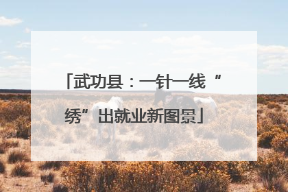 武功县：一针一线“绣”出就业新图景