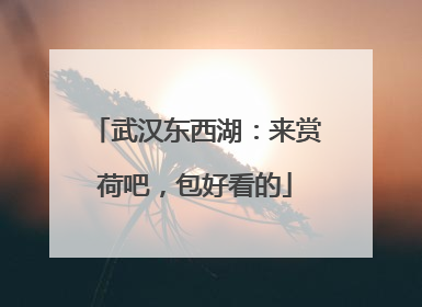 武汉东西湖：来赏荷吧，包好看的