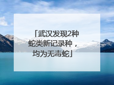 武汉发现2种蛇类新记录种，均为无毒蛇