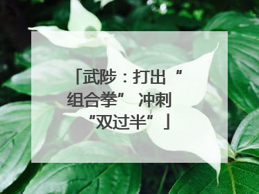武陟：打出“组合拳” 冲刺“双过半”