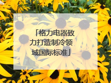格力电器致力打造制冷领域国际标准