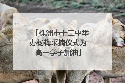 株洲市十三中举办杨梅采摘仪式为高三学子加油