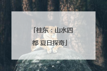 桂东：山水四都 夏日探奇
