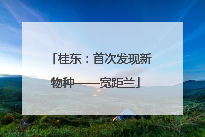 桂东：首次发现新物种——宽距兰