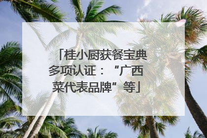 桂小厨获餐宝典多项认证：“广西菜代表品牌”等
