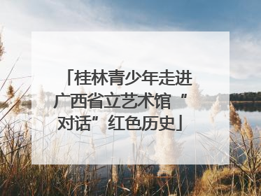 桂林青少年走进广西省立艺术馆“对话”红色历史