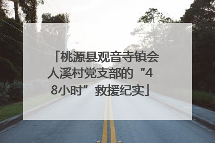 桃源县观音寺镇会人溪村党支部的“48小时”救援纪实