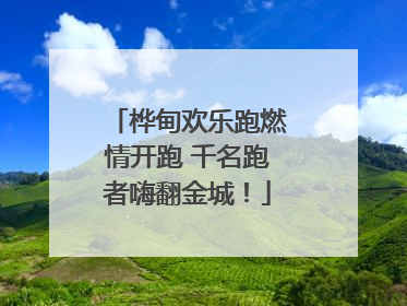桦甸欢乐跑燃情开跑 千名跑者嗨翻金城！