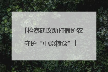 检察建议助打假护农守护“中原粮仓”