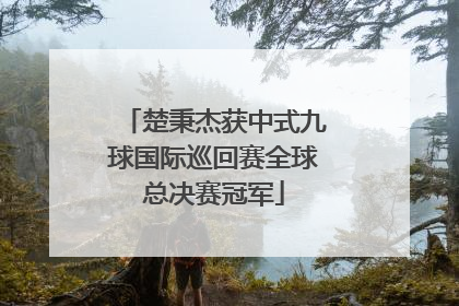 楚秉杰获中式九球国际巡回赛全球总决赛冠军