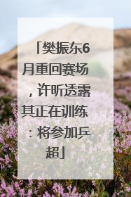 樊振东6月重回赛场，许昕透露其正在训练：将参加乒超