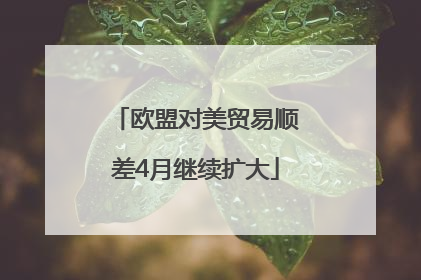 欧盟对美贸易顺差4月继续扩大