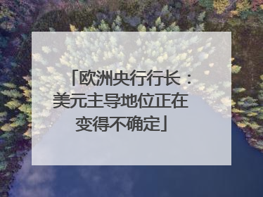 欧洲央行行长：美元主导地位正在变得不确定